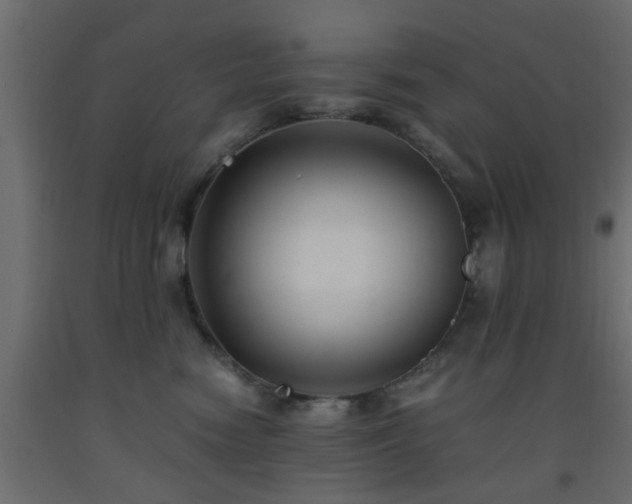 X0000093570474200710151131