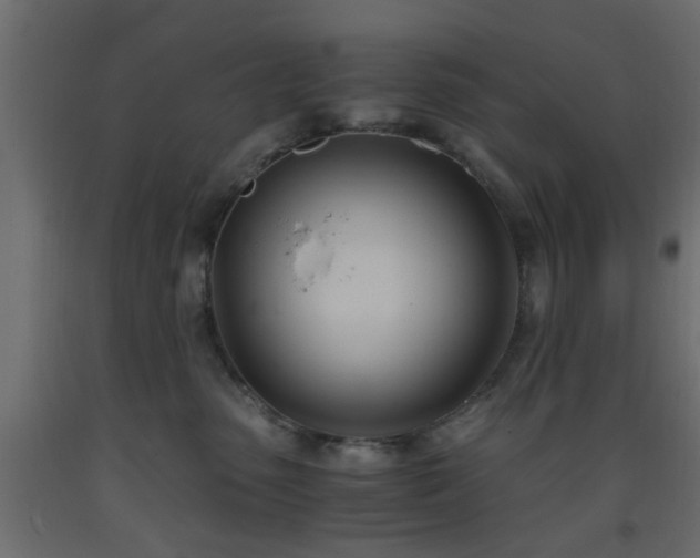 X0000093570475200710151131