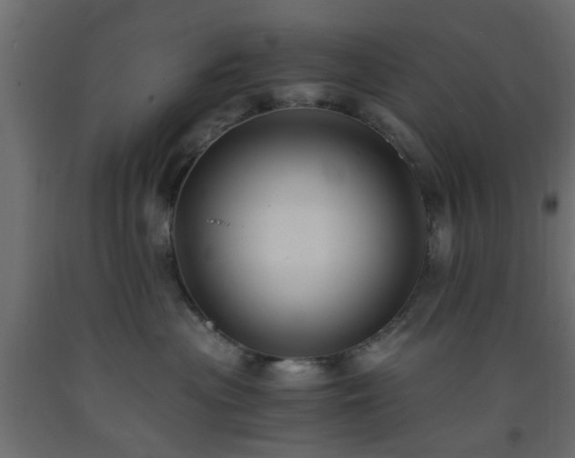 X0000093570477200710151131