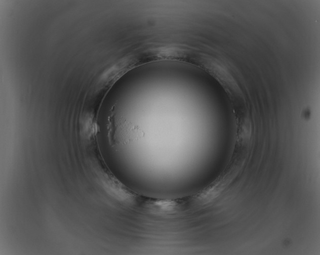 X0000093570478200710151131