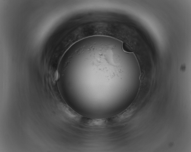 X0000093570479200710151131
