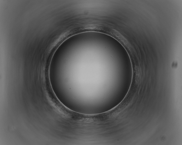 X0000093570482200710151130