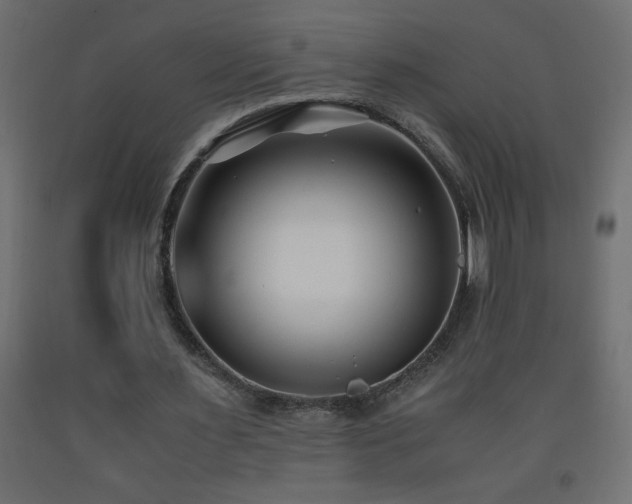 X0000093570483200710151130