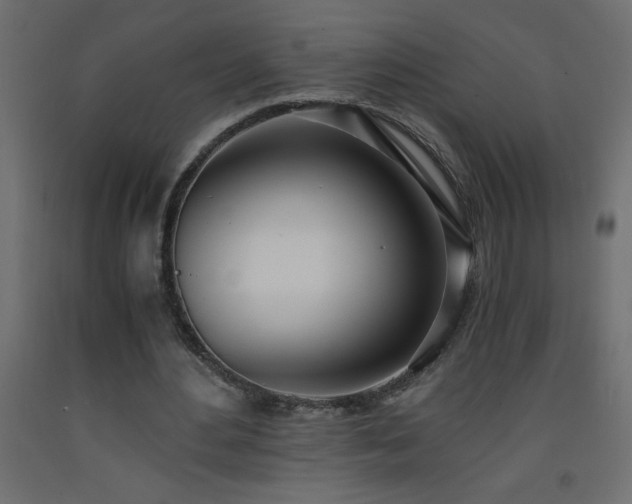 X0000093570484200710151130