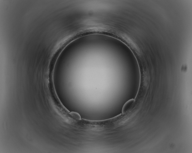 X0000093570486200710151130