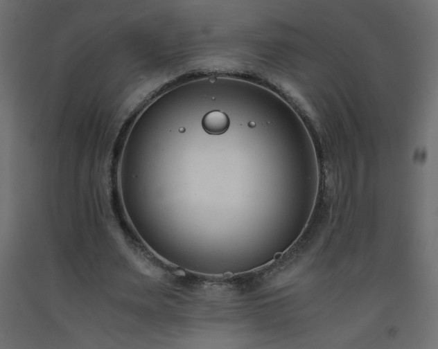 X0000093570487200710151130