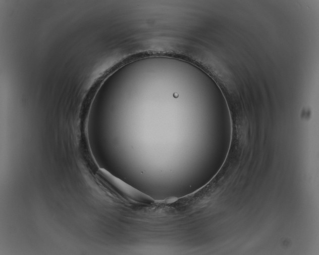 X0000093570488200710151130