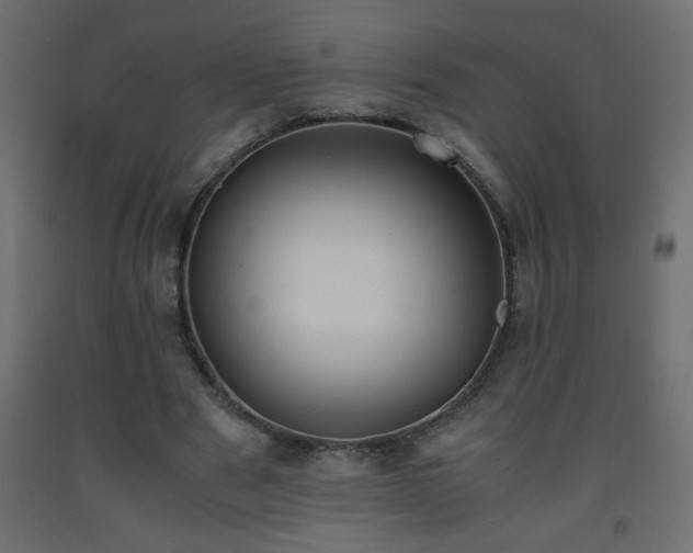 X0000093570489200710151130