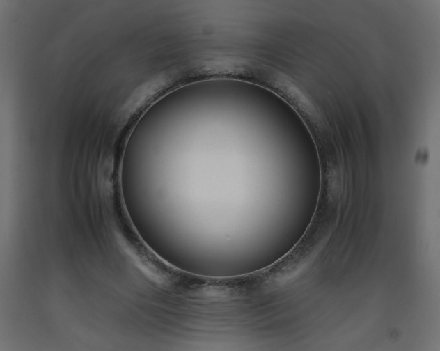 X0000093570490200710151130