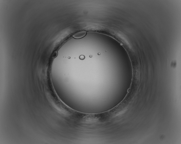 X0000093570491200710151130