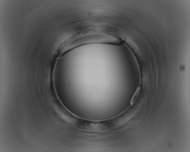 X0000093570493200710151130