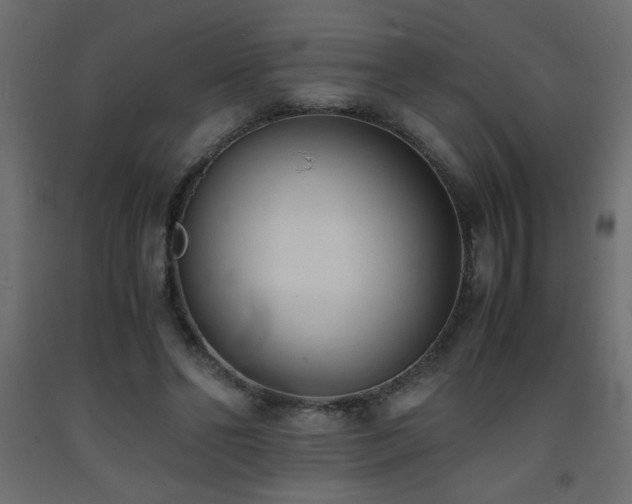 X0000093570494200710151130