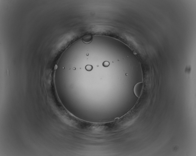 X0000093570495200710151130