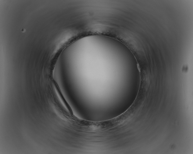 X0000093570496200710151130