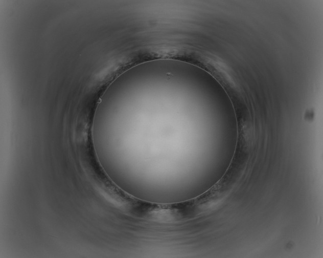 X0000093570499200710151130