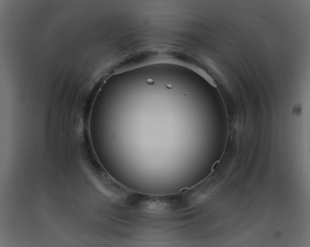 X0000093570500200710151130
