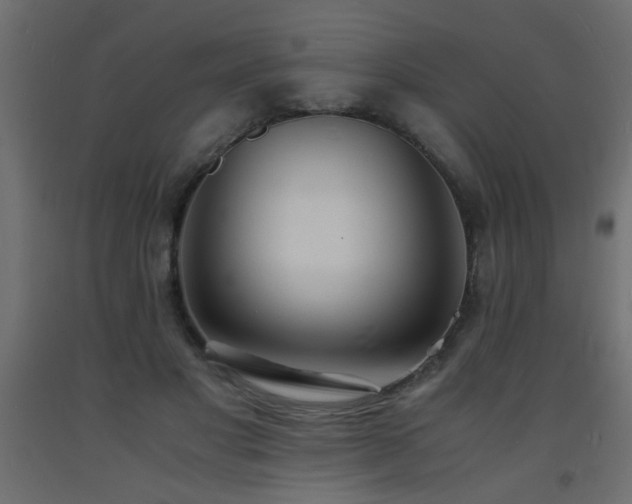 X0000093570501200710151130