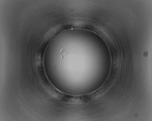 X0000093570502200710151130