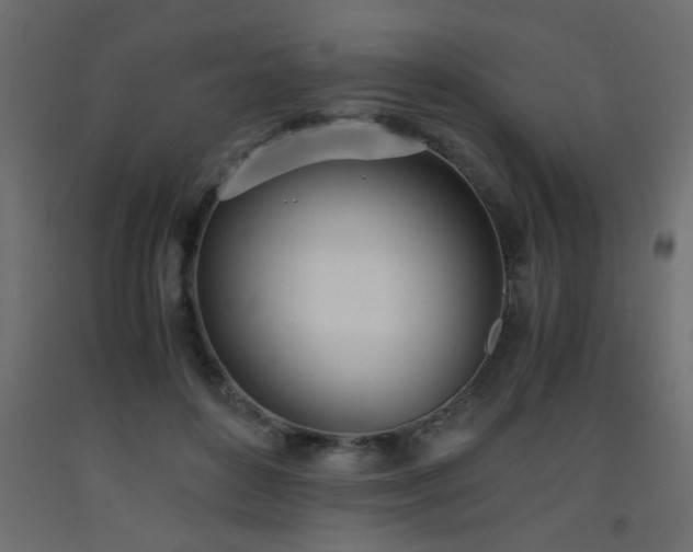 X0000093570504200710151130