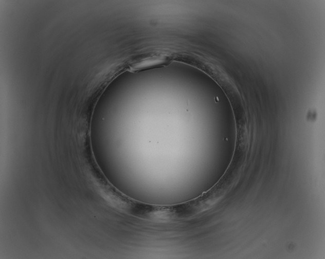 X0000093570505200710151130