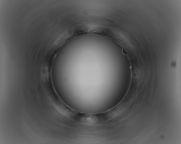 X0000093570506200710151130