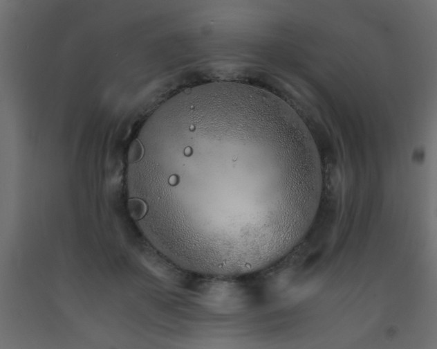 X0000093570507200710151130