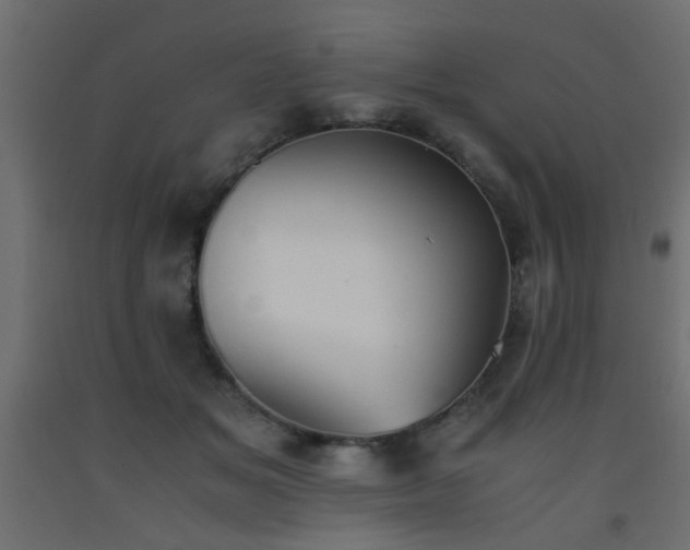 X0000093570509200710151130