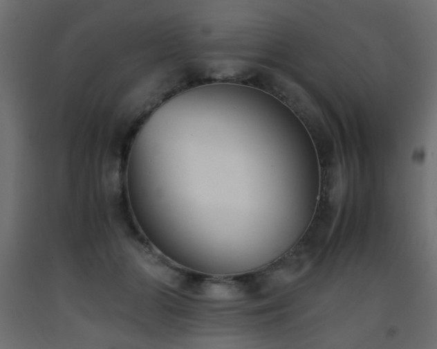 X0000093570510200710151130