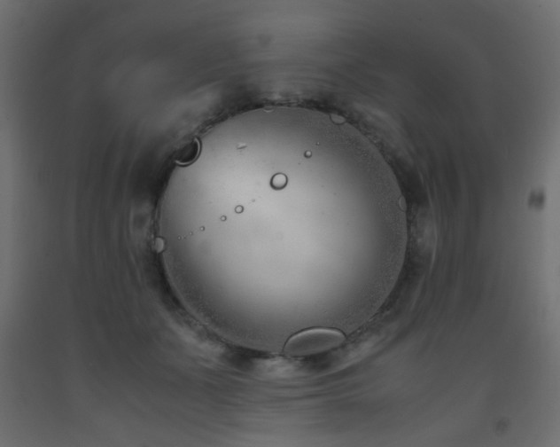 X0000093570511200710151130