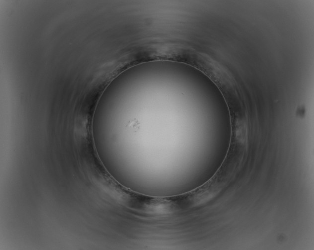 X0000093570514200710151130