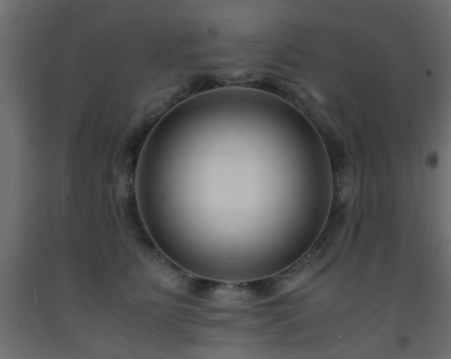 X0000093570515200710151130