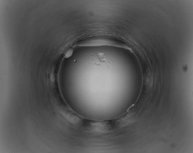 X0000093570516200710151130