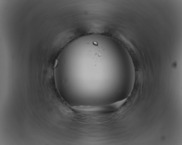 X0000093570517200710151130