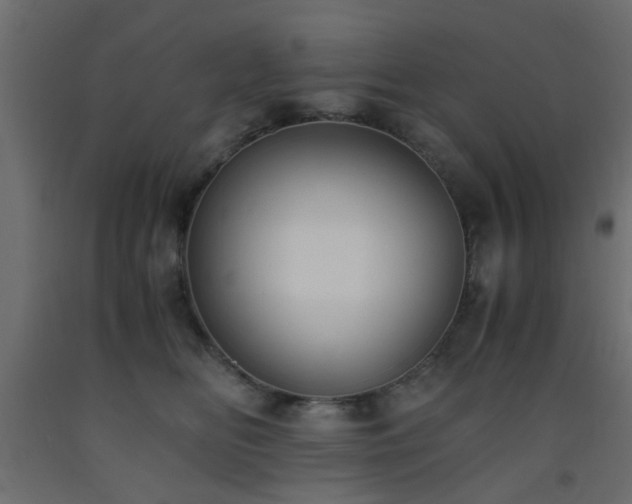 X0000093570518200710151130