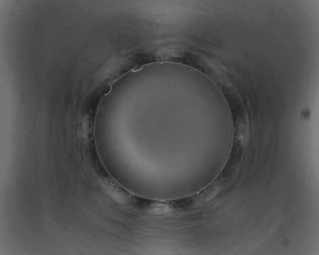 X0000093570519200710151130