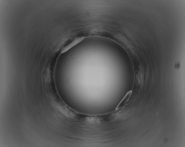 X0000093570520200710151130