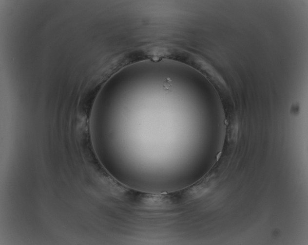 X0000093570521200710151130