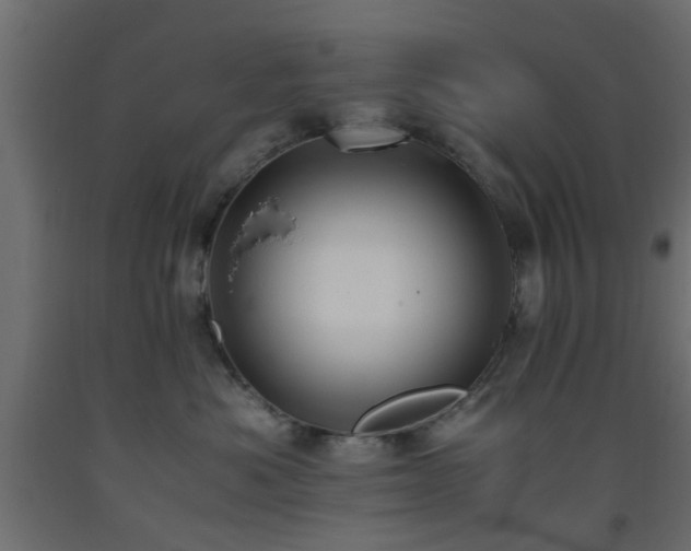 X0000093570525200710151130