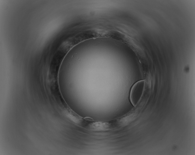 X0000093570526200710151130