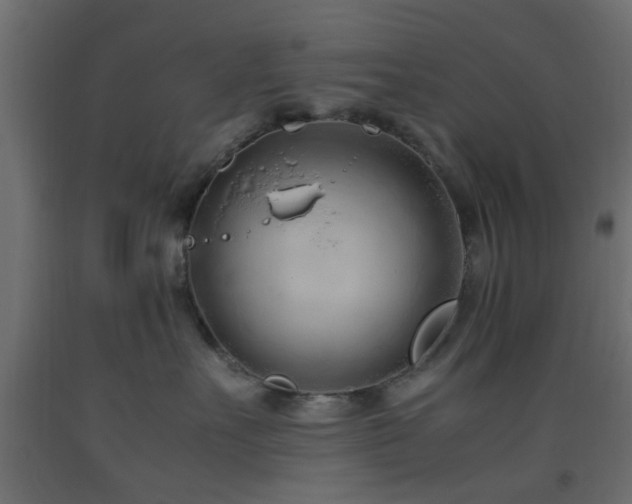 X0000093570527200710151130