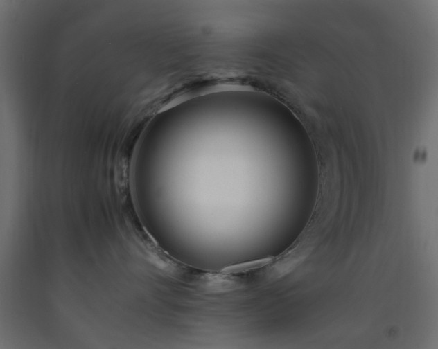X0000093570528200710151130