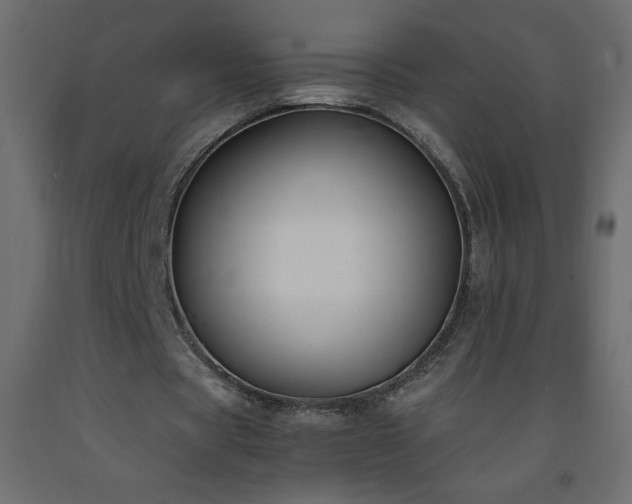 X0000093570529200710151129
