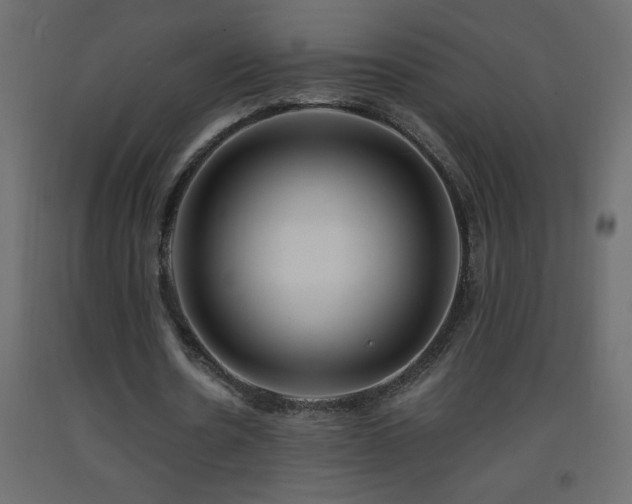 X0000093570530200710151129