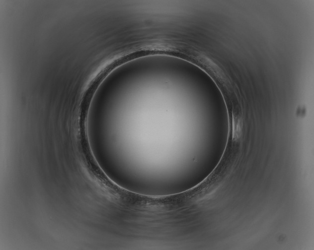 X0000093570531200710151129