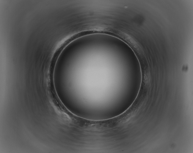 X0000093570532200710151129