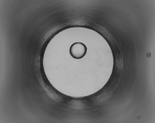 X0000093570534200710151129