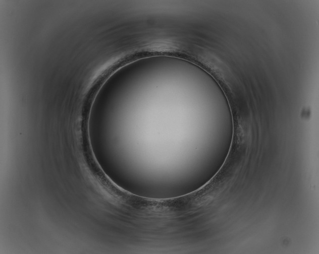 X0000093570535200710151129
