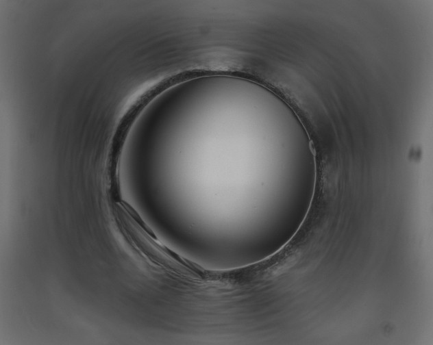 X0000093570536200710151129
