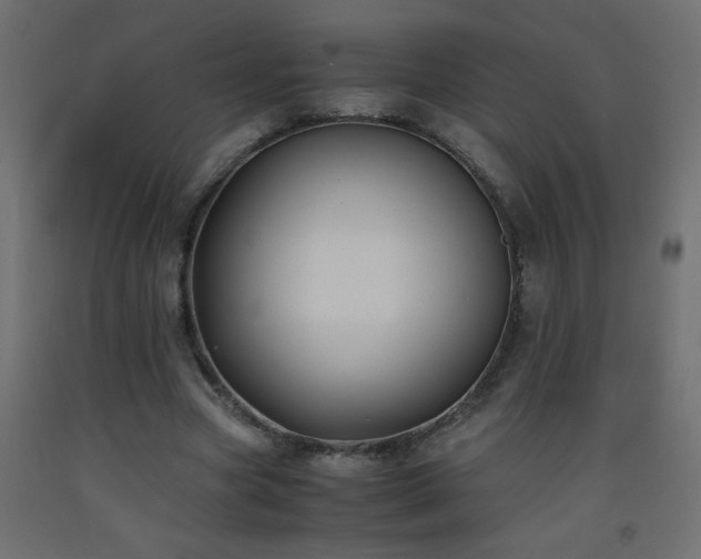 X0000093570537200710151129