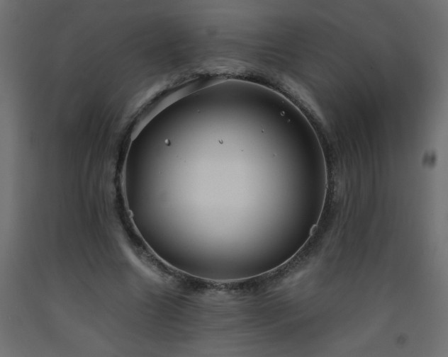 X0000093570538200710151129